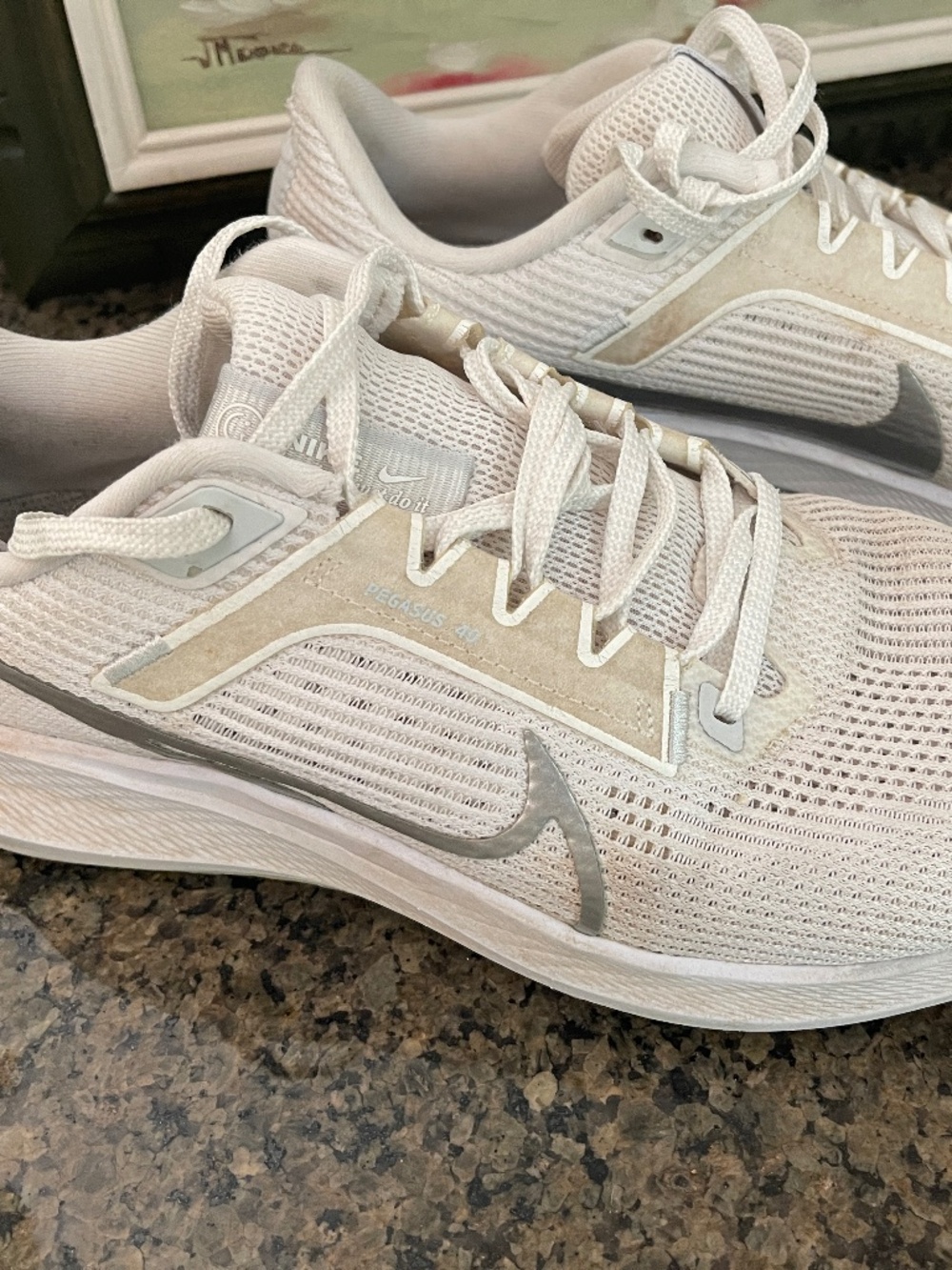 Nike Air Zoom Pegasus 40 Size 10.5